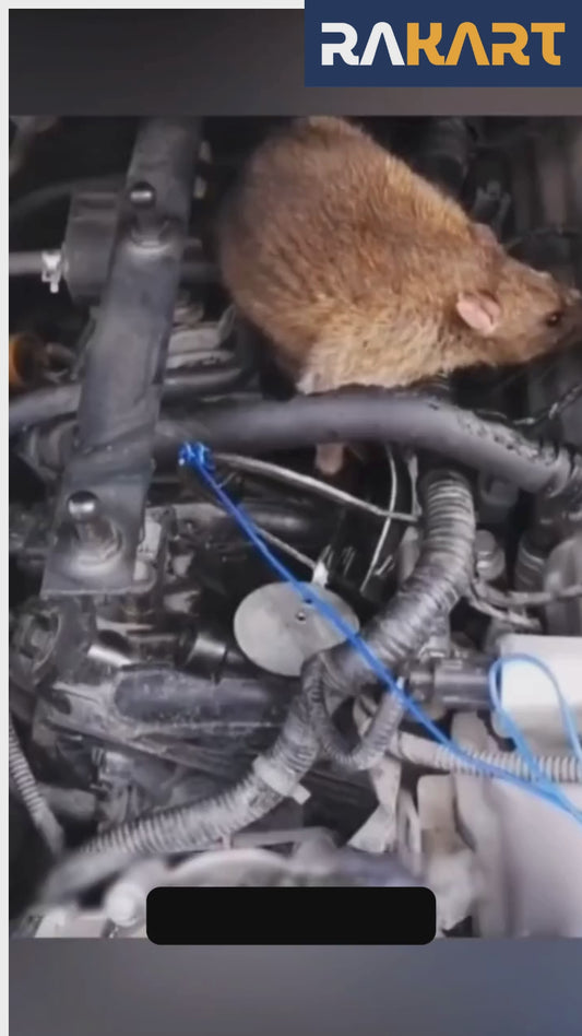 2X Rat Repellent Spray for Cars | Highly Effective, Odor-Free Rodent Repellent | Easy-to-Use No Entry Spray for Automobile Care | 200ml (Pack of 1)